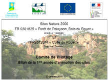 PPT COPIL Bilan 2013