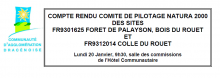 Compte rendu de COPIL